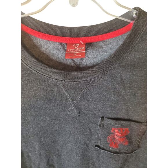 Colosseum Wisconsin Badgers Charcoal Gray Sweatshirt, NWOT, Med - Picture 2 of 6